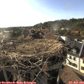 18_25-nest.jpg