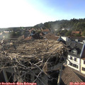 18_30-nest.jpg