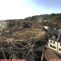 18_35-nest.jpg