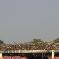 18_40-mast.jpg