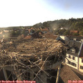 18_40-nest.jpg
