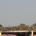 18_45-mast.jpg