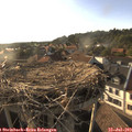 18_45-nest.jpg