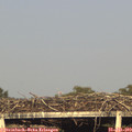 18_55-mast.jpg