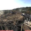 18_55-nest.jpg