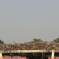 19_00-mast.jpg