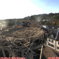 19_05-nest.jpg