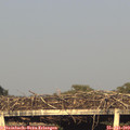 19_25-mast.jpg