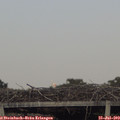 19_30-mast.jpg