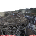 19_30-nest.jpg