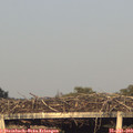 19_35-mast.jpg