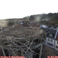 19_40-nest.jpg