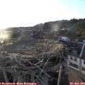 19_45-nest.jpg