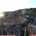 19_50-nest.jpg