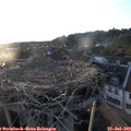 19_55-nest.jpg