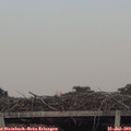 20_00-mast.jpg