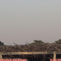 20_05-mast.jpg