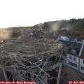 20_05-nest.jpg