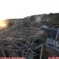 20_20-nest.jpg