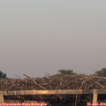 20_25-mast.jpg