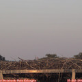 20_30-mast.jpg