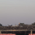 20_35-mast.jpg