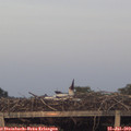 20_45-mast.jpg