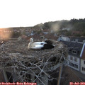 20_45-nest.jpg