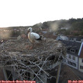 20_55-nest.jpg