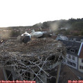 21_00-nest.jpg