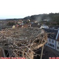 06_20-nest.jpg