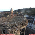 06_30-nest.jpg