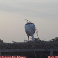 06_35-mast.jpg