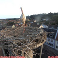 06_40-nest.jpg