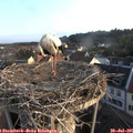 07_00-nest.jpg