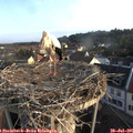 07_10-nest.jpg