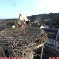 07_30-nest.jpg