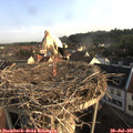 07_35-nest.jpg