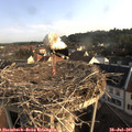 07_45-nest.jpg