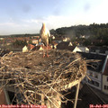 07_50-nest.jpg