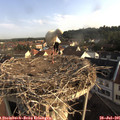 08_00-nest.jpg