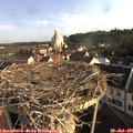 08_05-nest.jpg