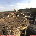 08_10-nest.jpg