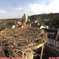 08_15-nest.jpg