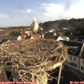 08_20-nest.jpg