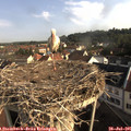 08_25-nest.jpg