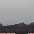 08_35-mast.jpg