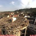 08_35-nest.jpg