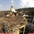08_40-nest.jpg