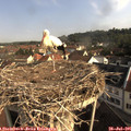 08_55-nest.jpg